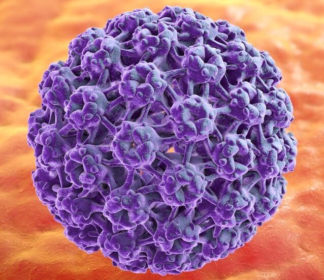 3D-модели HPV, ки пайдоиши warts дар дастҳоро бармеангезад