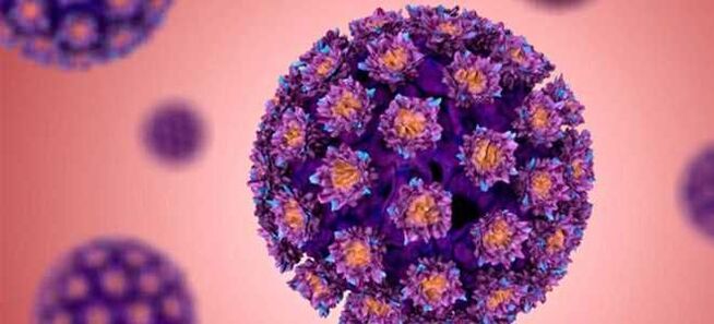 HPV - Папилломавируси инсон